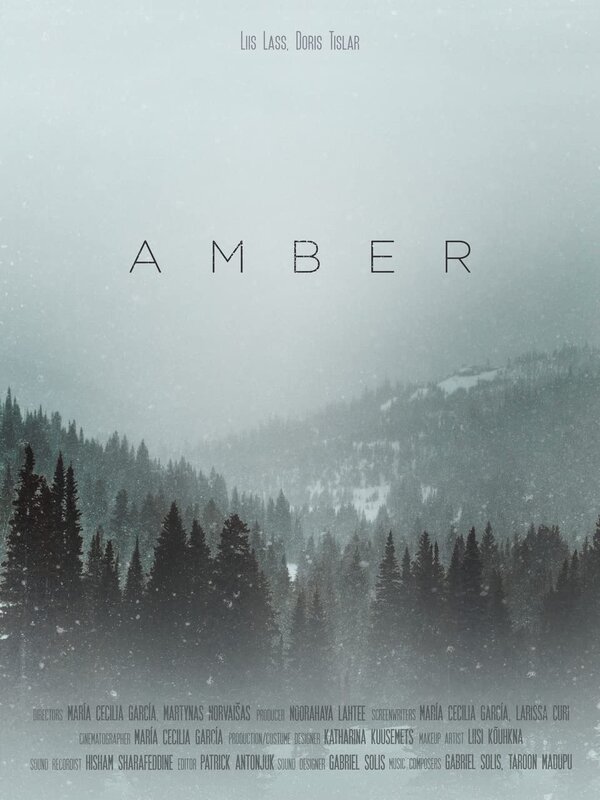 Постер фильма Amber