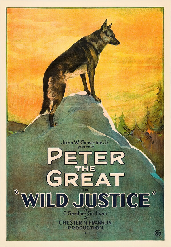 Постер фильма Wild Justice