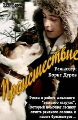 Постер фильма Происшествие