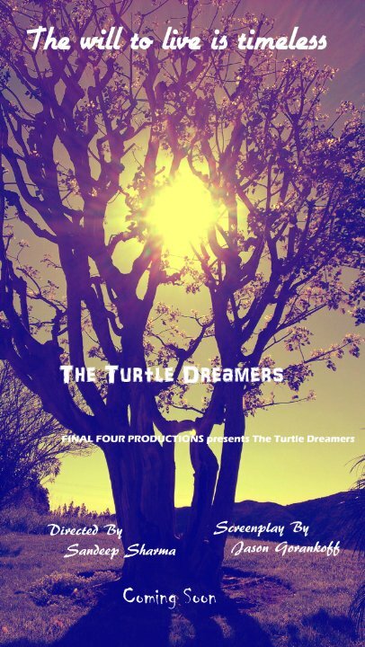 Постер фильма The Turtle Dreamers