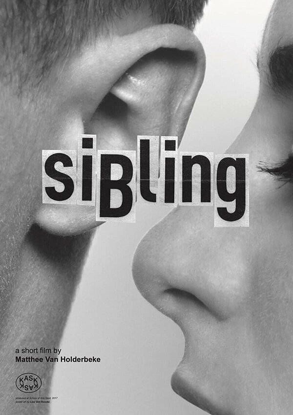 Постер фильма Sibling