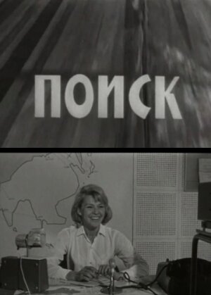 Постер фильма Поиск