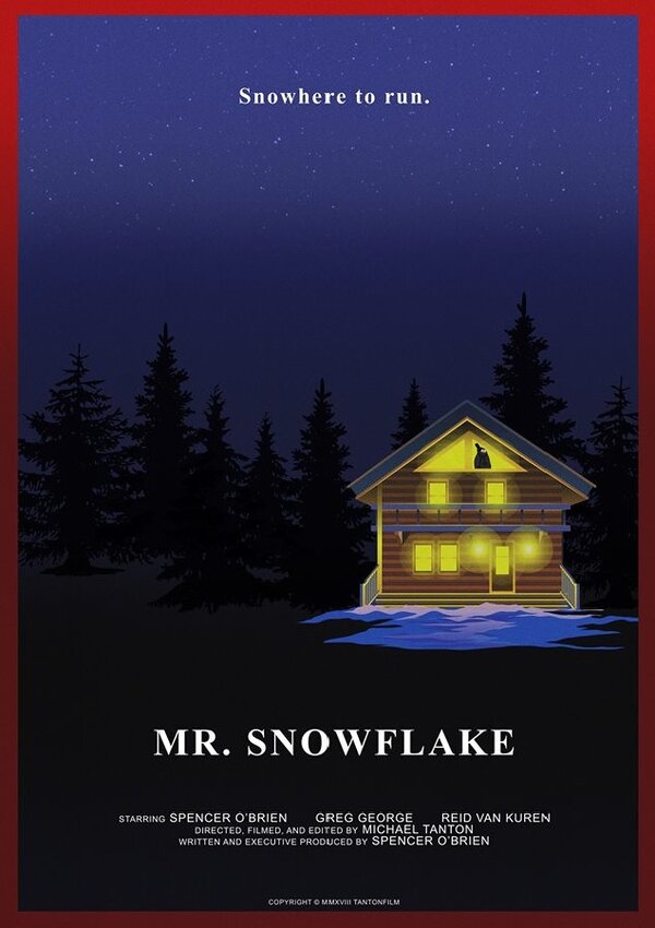 Постер фильма Mr. Snowflake