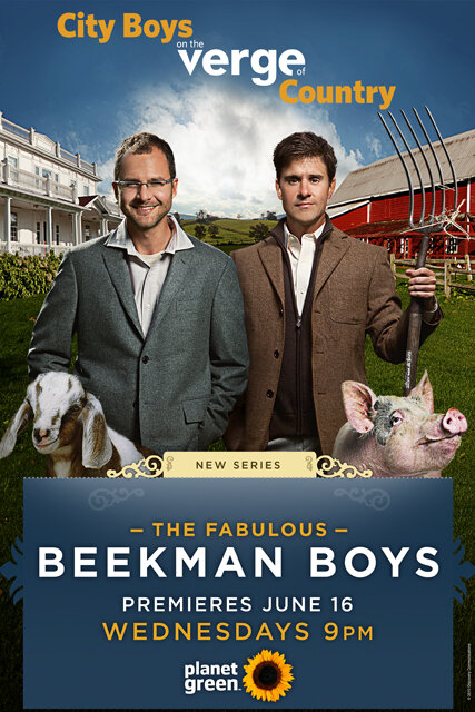 Постер сериала The Fabulous Beekman Boys