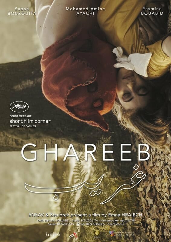 Постер фильма Ghareeb