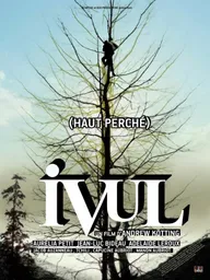 Ивуль