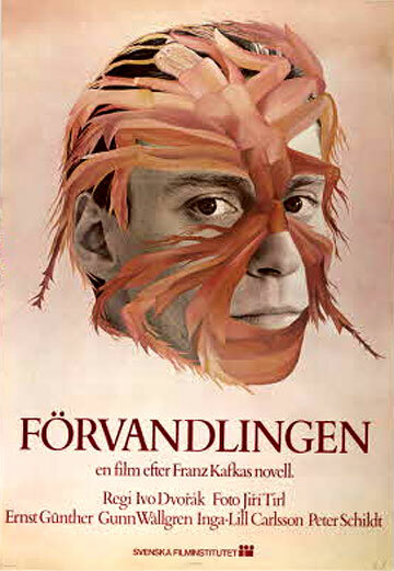 Постер фильма Förvandlingen