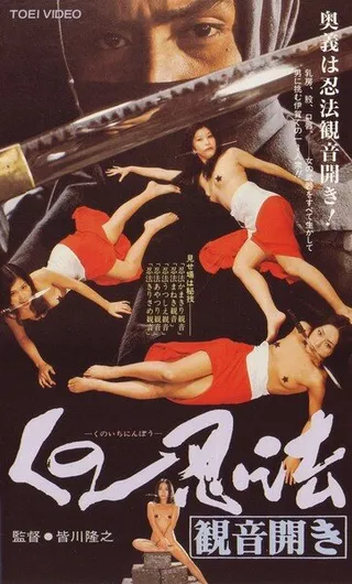 Постер Хроники династии ниндзя (1991)