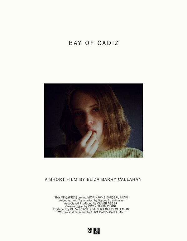 Постер фильма Bay of Cadiz