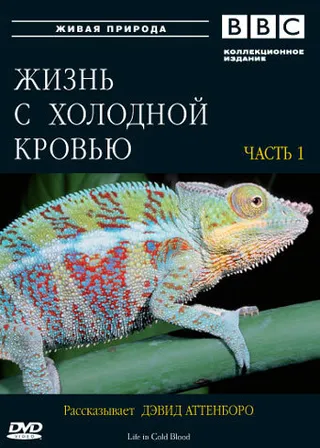 Постер BBC: Жизнь с холодной кровью (2008)
