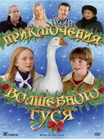 Постер фильма Приключения волшебного гуся