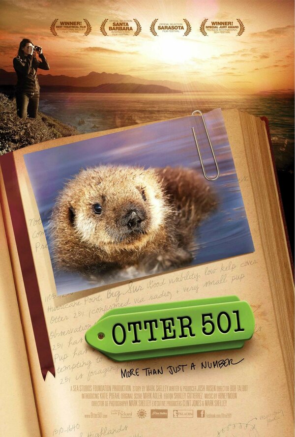 Постер фильма Otter 501