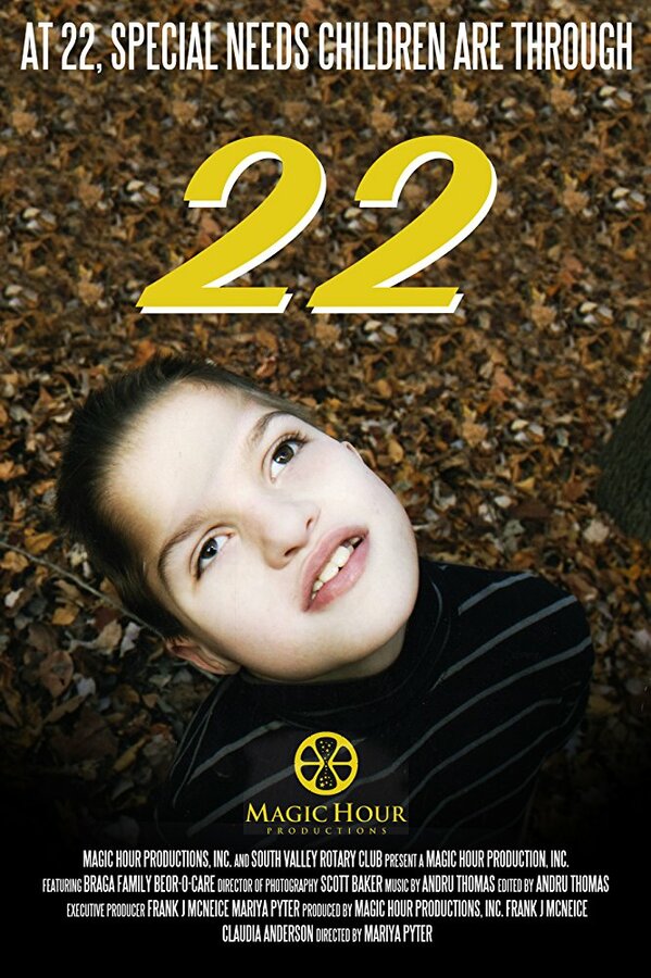 Постер фильма 22