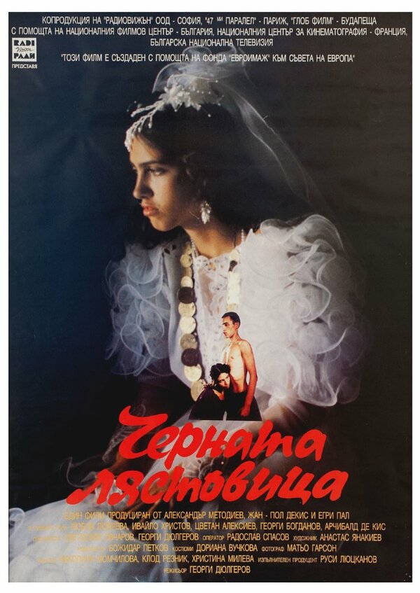 Постер фильма Черная ласточка