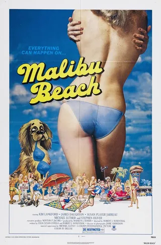 Постер Пляж Малибу (1978)