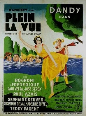 Постер фильма Plein la vue