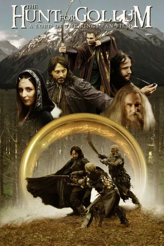 Постер Охота за Голлумом (2009)