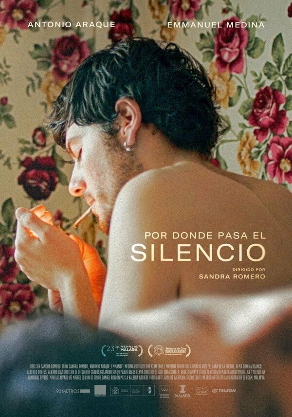 Постер фильма Por donde pasa el silencio