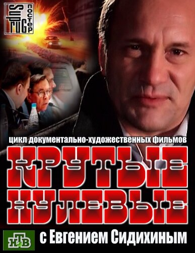 Постер сериала Крутые нулевые