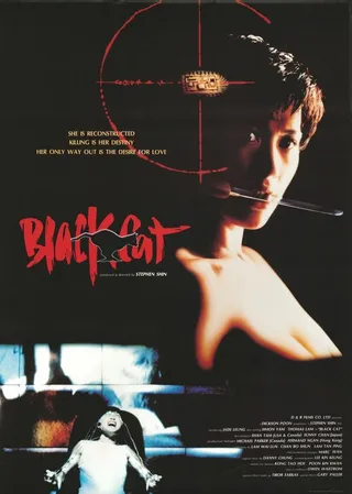 Постер Чёрная кошка (1991)