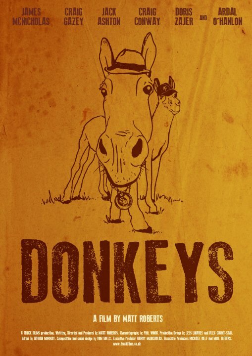 Постер фильма Donkeys