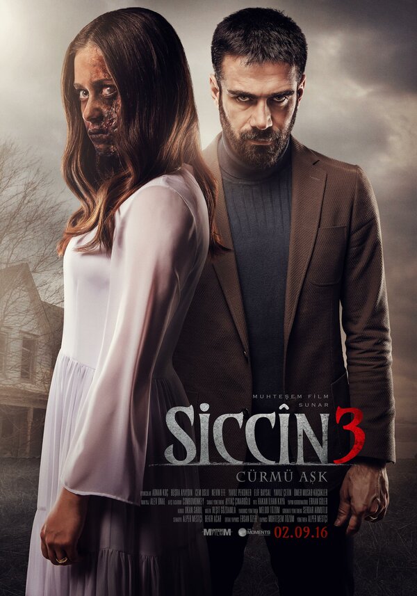 Постер фильма Сиджин 3