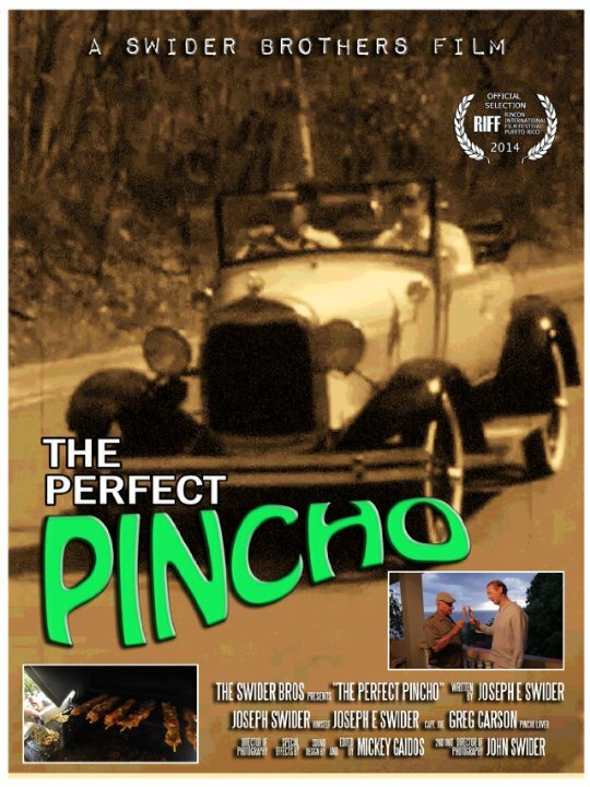 Постер фильма The Perfect Pincho