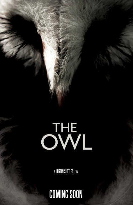 Постер фильма The Owl
