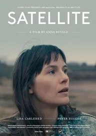 Satellite