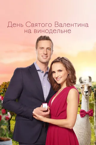 Постер День Святого Валентина на винодельне (2019)