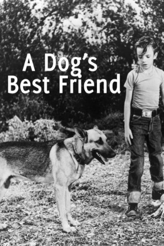 Постер фильма A Dog's Best Friend