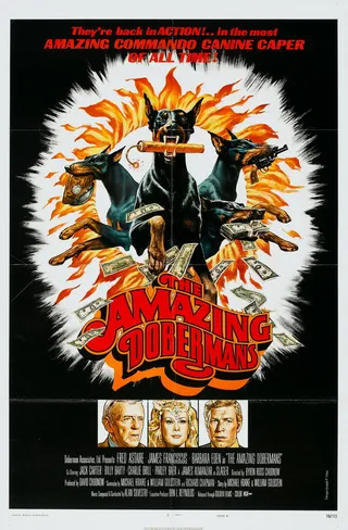 Постер Невероятные доберманы (1976)