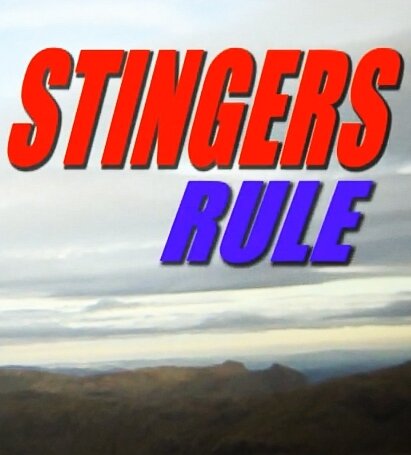 Постер фильма Stingers Rule!