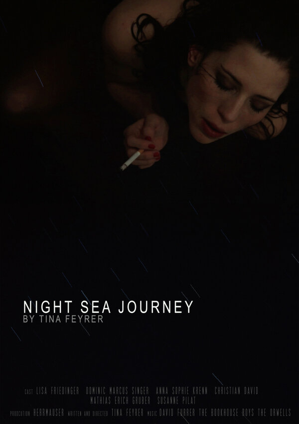 Постер фильма Night Sea Journey