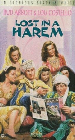 Постер фильма Потерянные в гареме