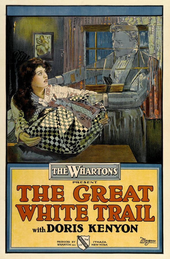 Постер фильма The Great White Trail