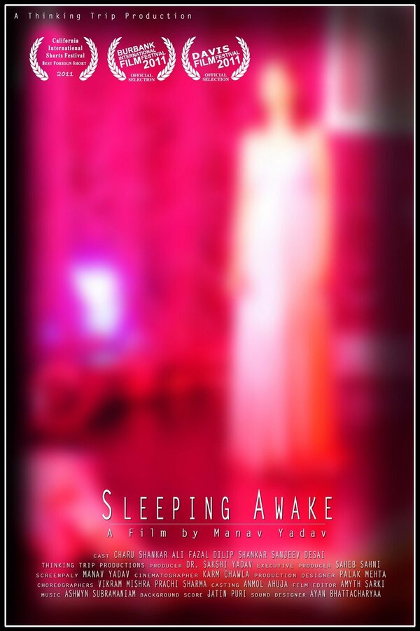 Постер фильма Sleeping Awake