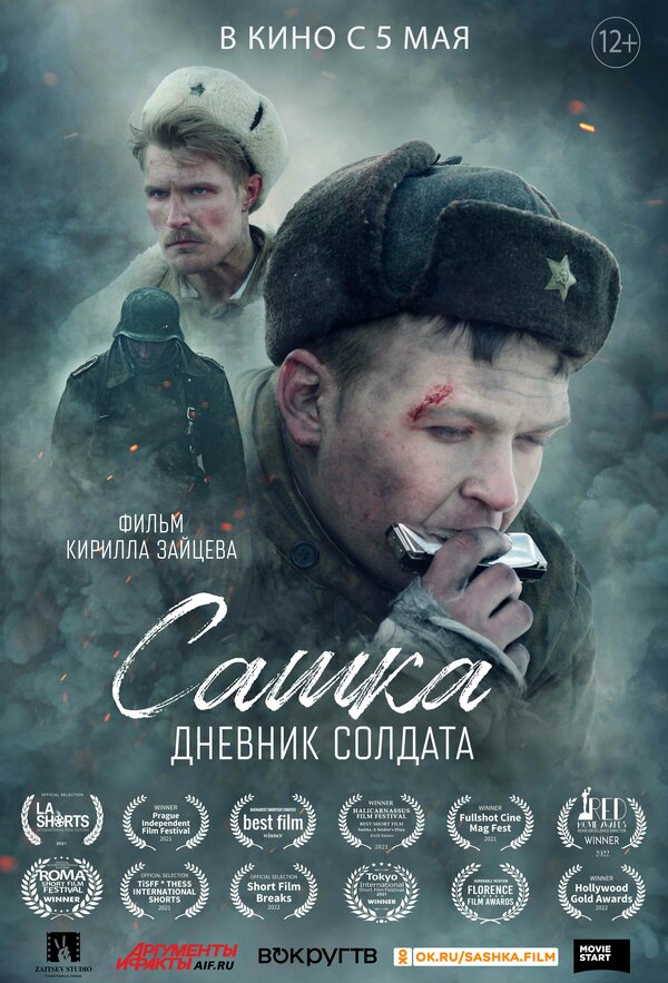 Постер фильма Сашка. Дневник солдата