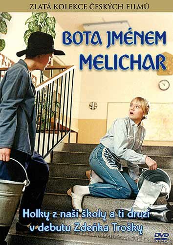 Постер фильма Ботинок по имени Мелихар