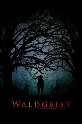 Постер фильма Waldgeist