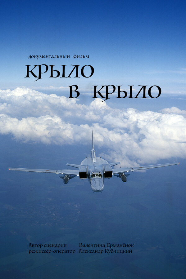 Постер фильма Крыло в крыло