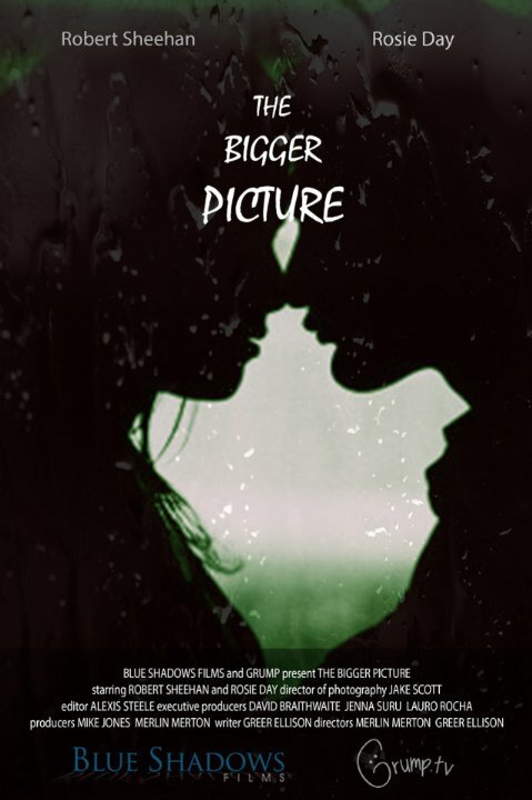 Постер фильма The Bigger Picture