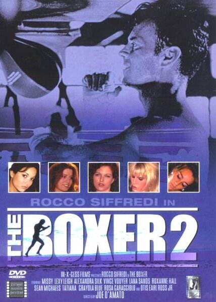 Постер фильма The Boxer 2