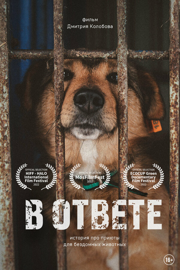 Постер фильма В ответе