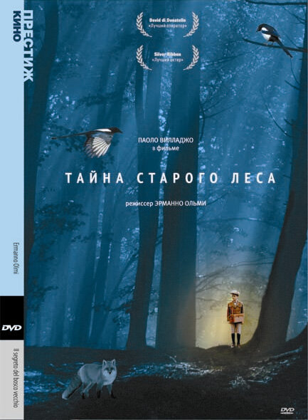 Постер фильма Тайна старого леса