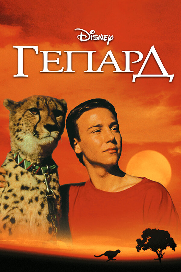 Постер фильма Гепард