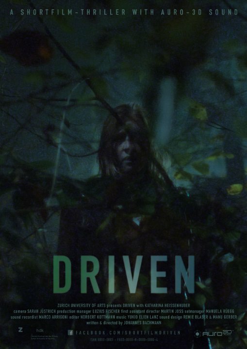 Постер фильма Driven
