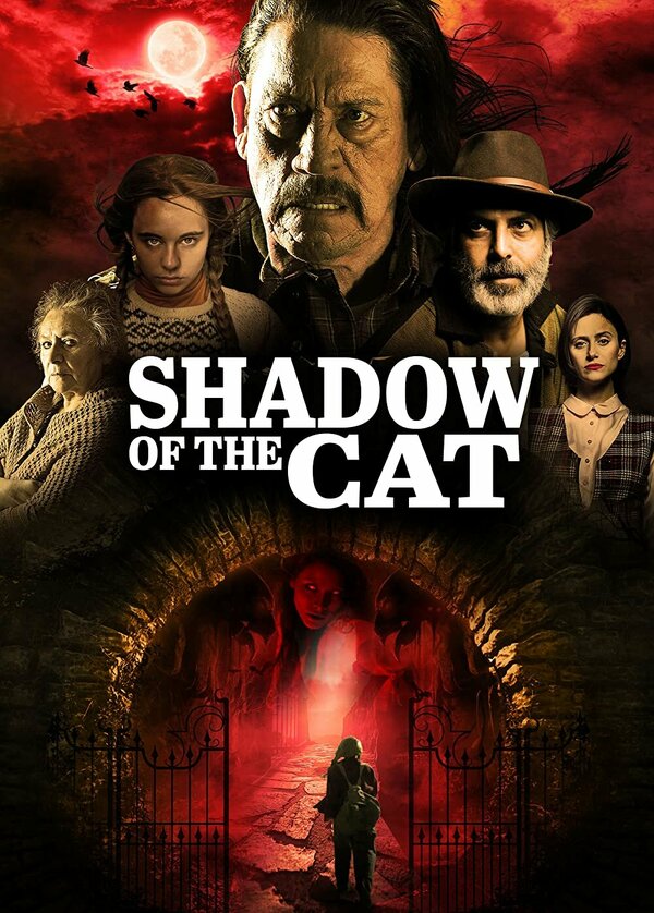 Постер фильма La Sombra Del Gato