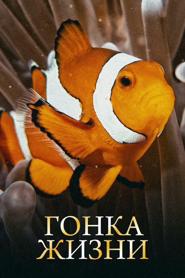 Постер сериала Гонка жизни