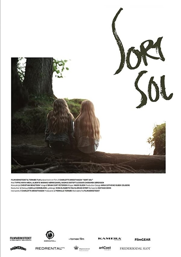 Постер фильма Sort sol